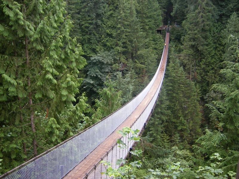 Test Your Nerves On Bc S Stunning Suspension Bridges