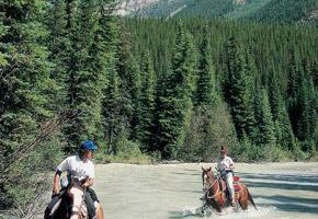 Rocky Mountain horseback riding