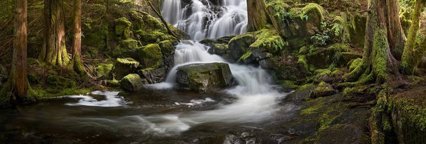 Photo Location: Sooke, BC
