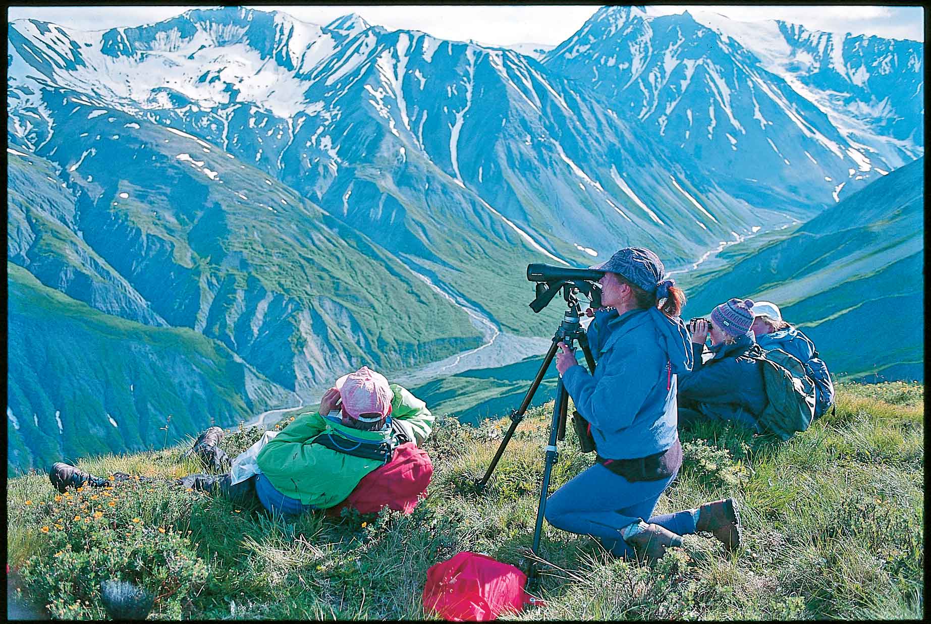 Explore TatshenshiniAlsek Provincial Park British Columbia Magazine